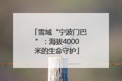 雪域“宁波门巴”：海拔4000米的生命守护
